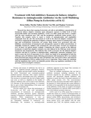 Treatment with Sub-Inhibitory Kanamycin Induces Adaptive Resistance to Aminoglycoside Antibiotics Via the Acrd Multidrug Efflux Pump in Escherichia Coli K-12