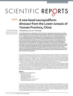 A New Basal Sauropodiform Dinosaur from the Lower Jurassic of Yunnan