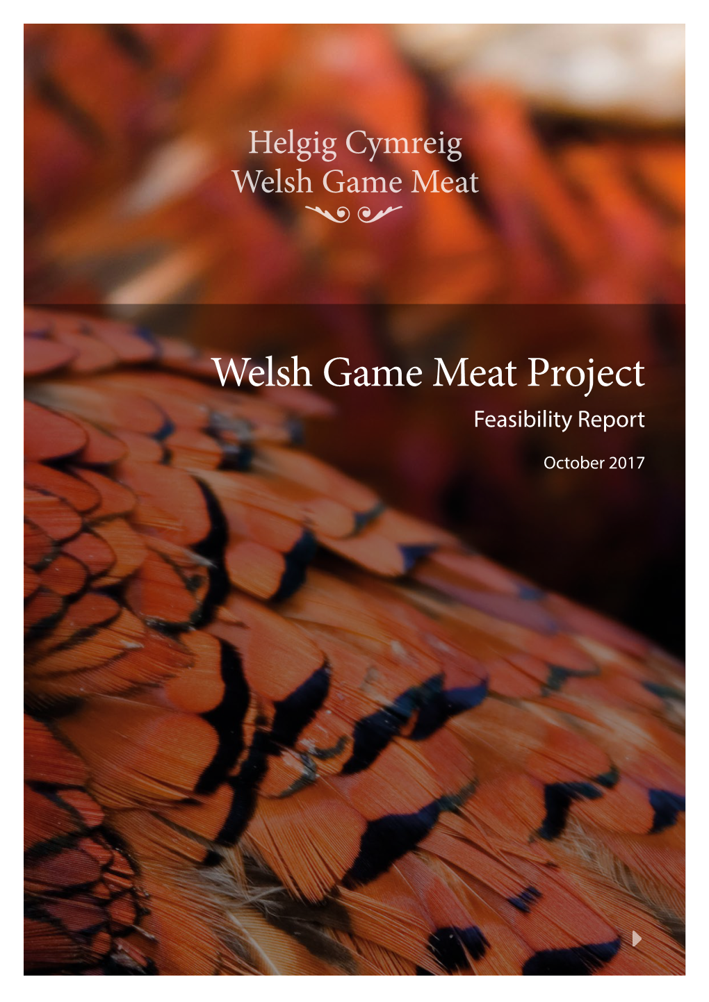 Welsh Game Meat Project Feasibility Report