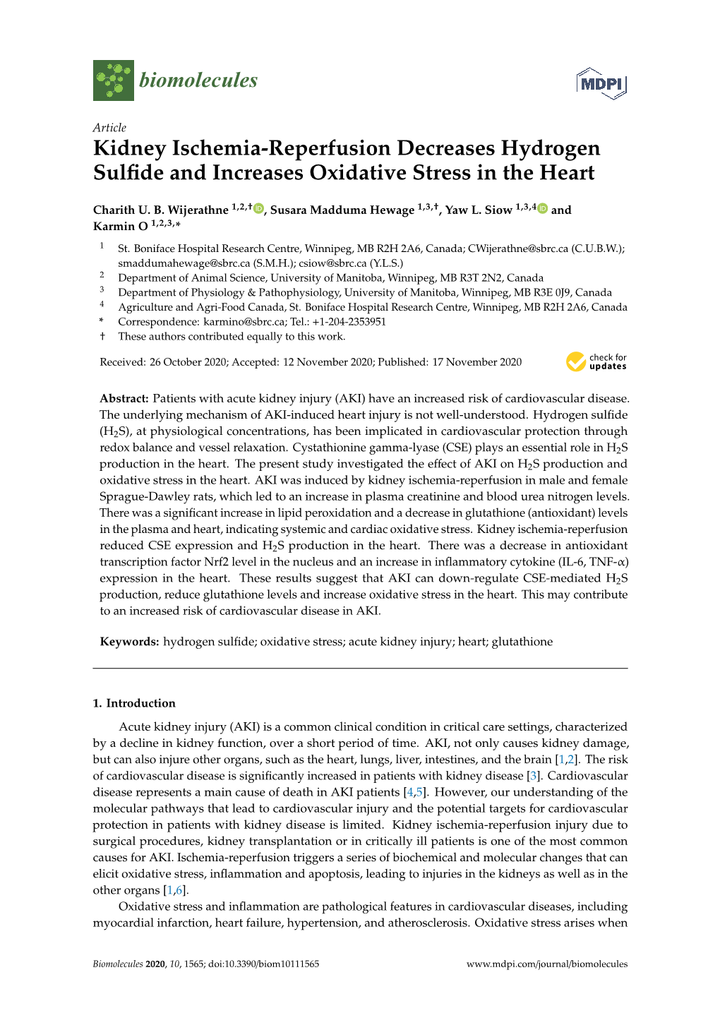 Kidney Ischemia-Reperfusion Decreases Hydrogen Sulfide And