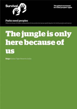 Parks Need Peoples the Global Movement for Tribal Peoples’ Rights