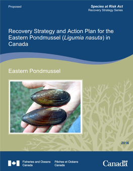 Recovery Strategy and Action Plan for the Eastern Pondmussel in Canada