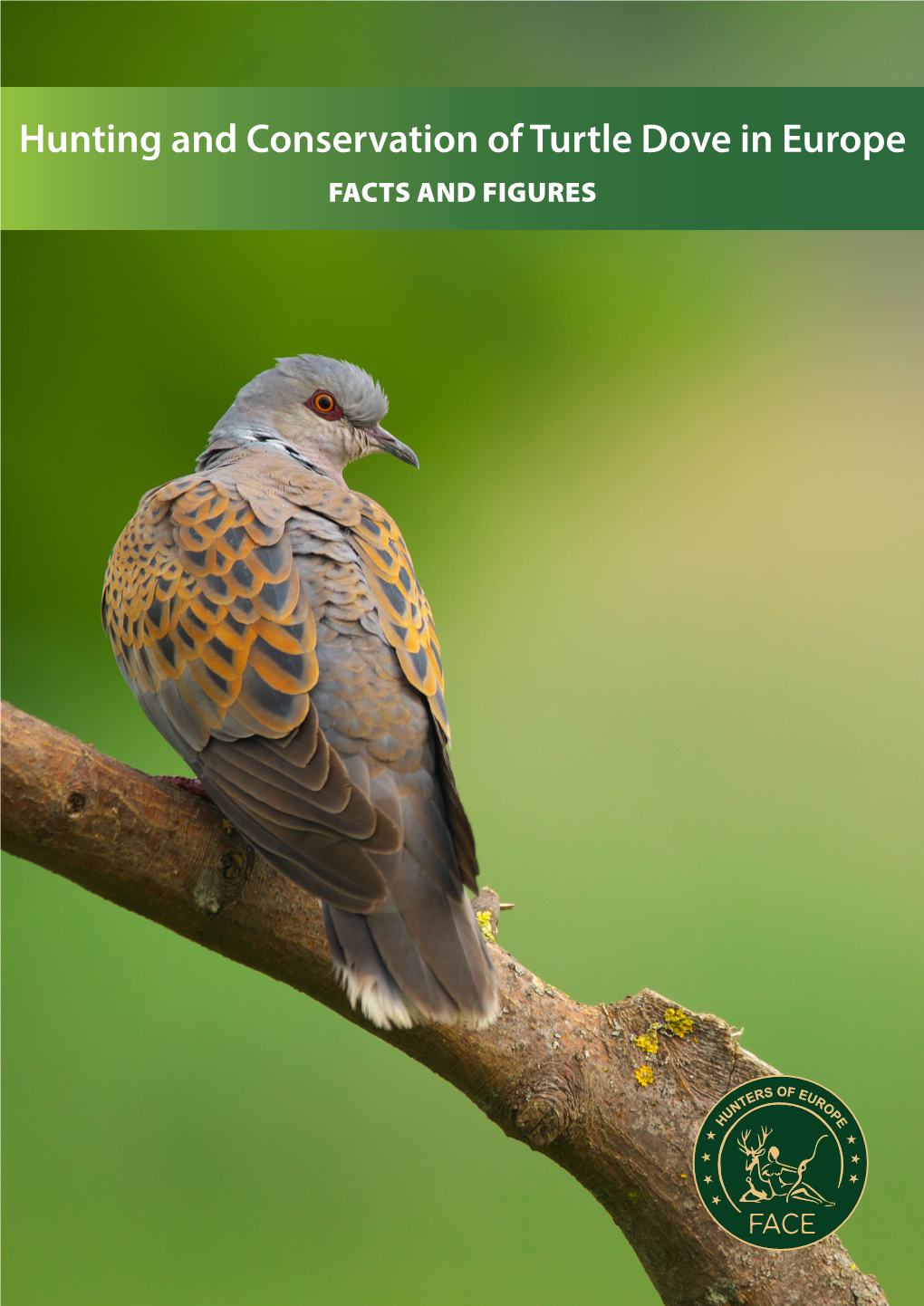 Hunting and Conservation of Turtle Dove in Europe FACTS and FIGURES What’S Happening with the Turtle Dove Population in Europe?