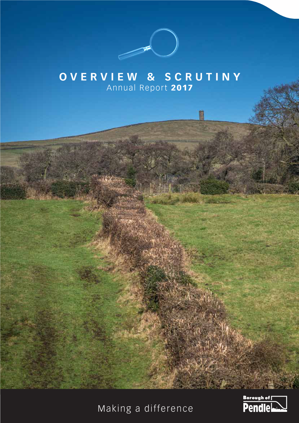 Overview and Scrutiny Annual Report for 2017