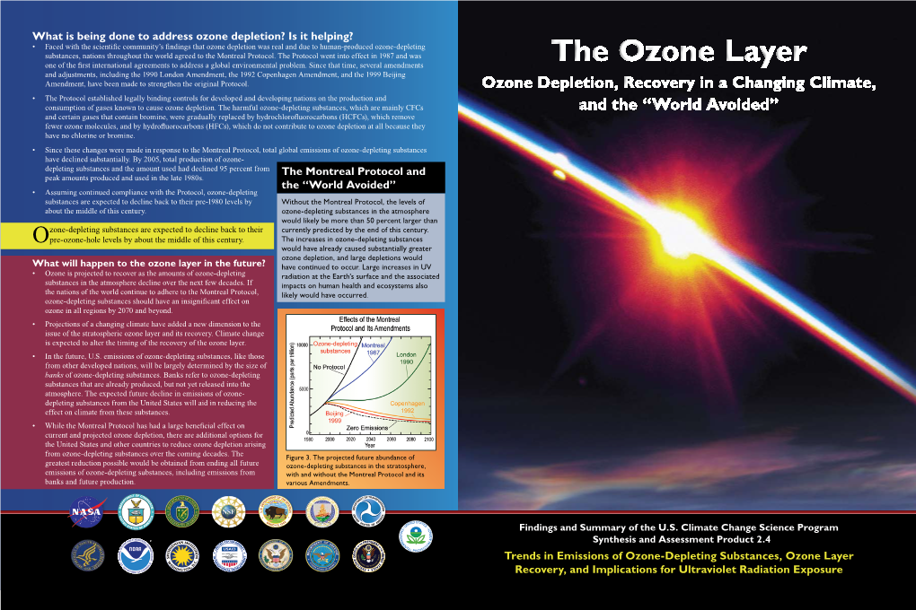 The Ozone Layer the Ozone Layer