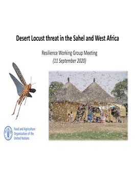 Desert Locust Threat in the Sahel and West Africa