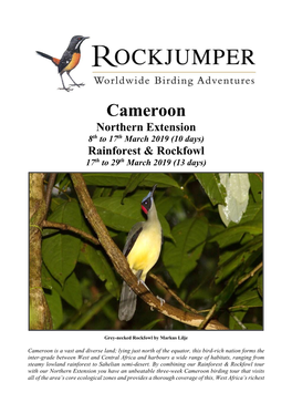 Cameroon Northern Extension 8Th to 17Th March 2019 (10 Days) Rainforest & Rockfowl 17Th to 29Th March 2019 (13 Days)
