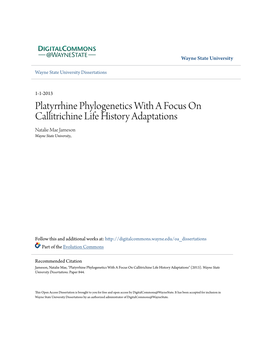 Platyrrhine Phylogenetics with a Focus on Callitrichine Life History Adaptations Natalie Mae Jameson Wayne State University