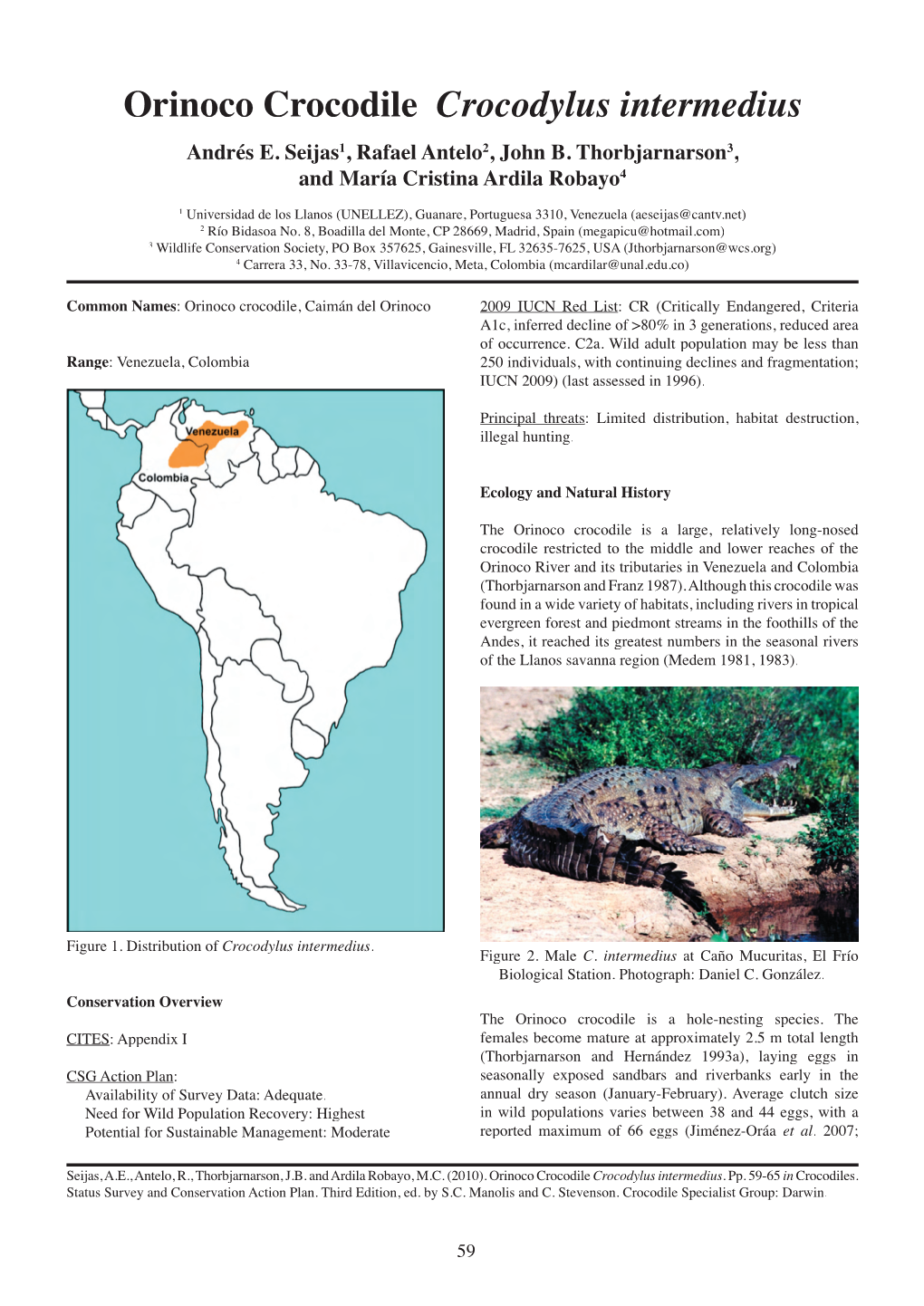 Orinoco Crocodile Crocodylus Intermedius Andrés E