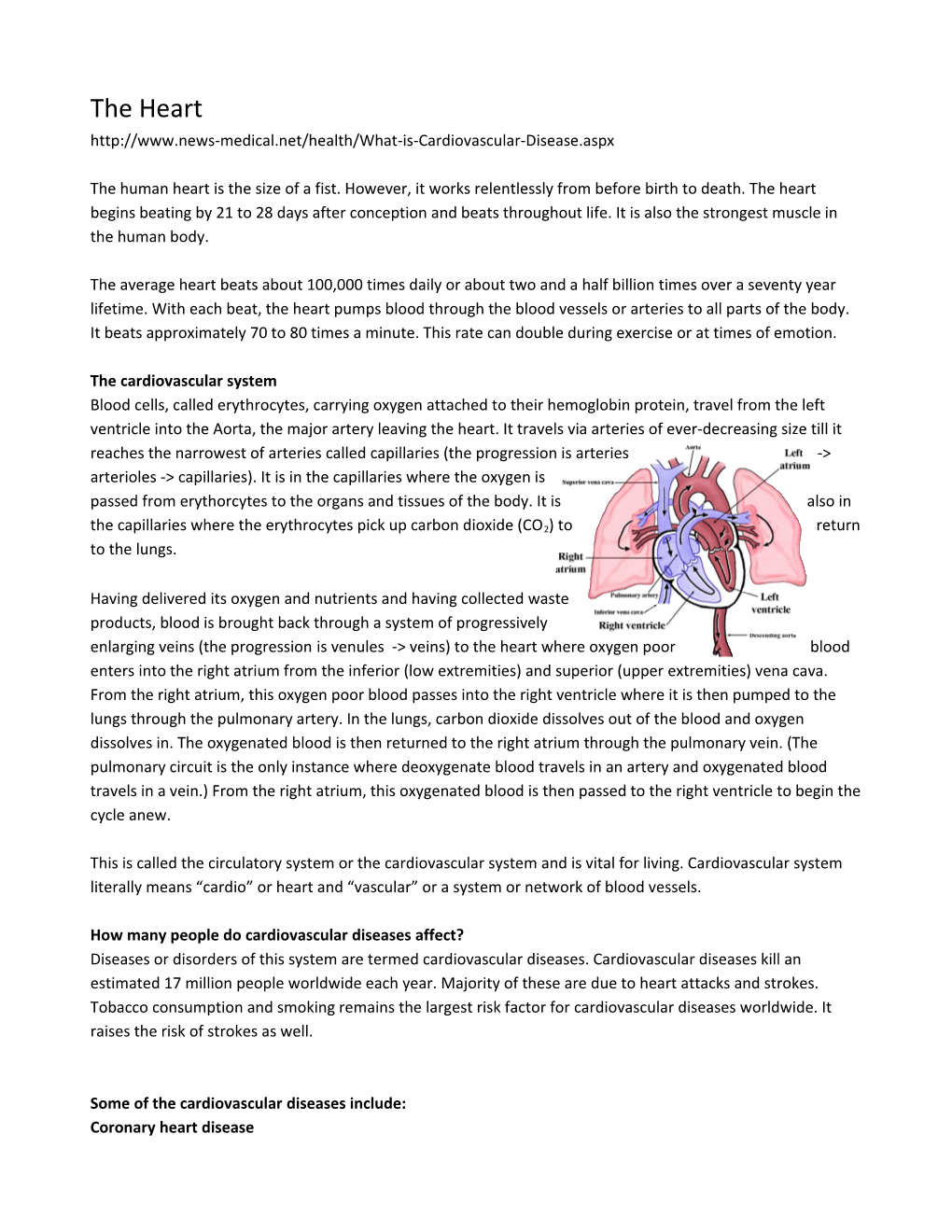 The Cardiovascular System