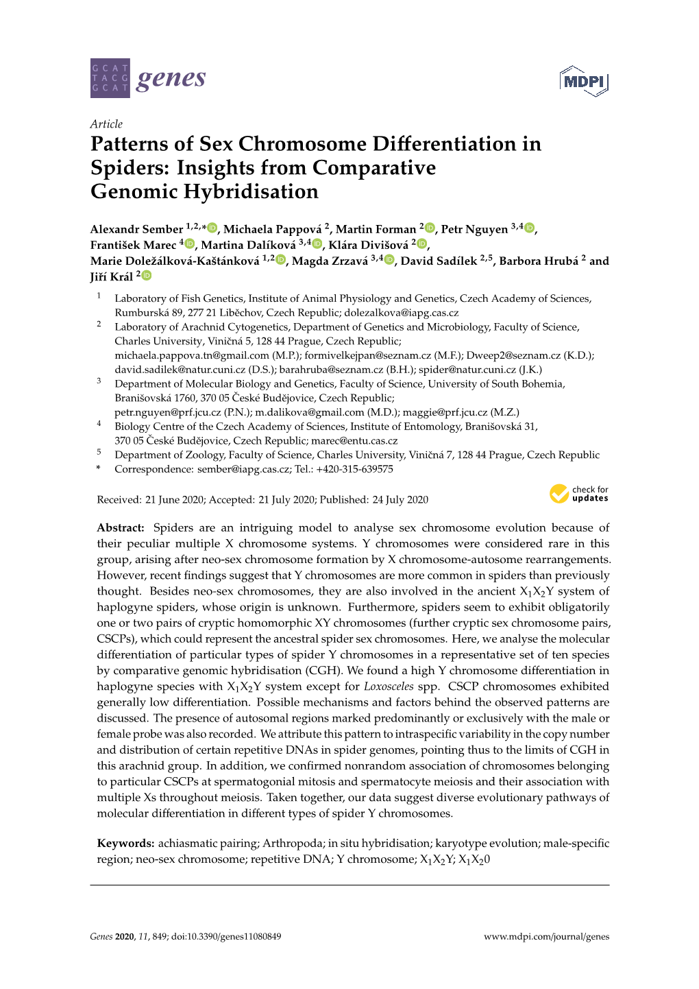 Patterns of Sex Chromosome Differentiation in Spiders