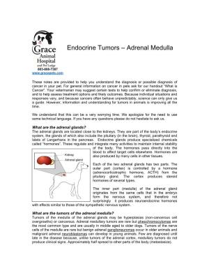 Endocrine Tumors – Adrenal Medulla