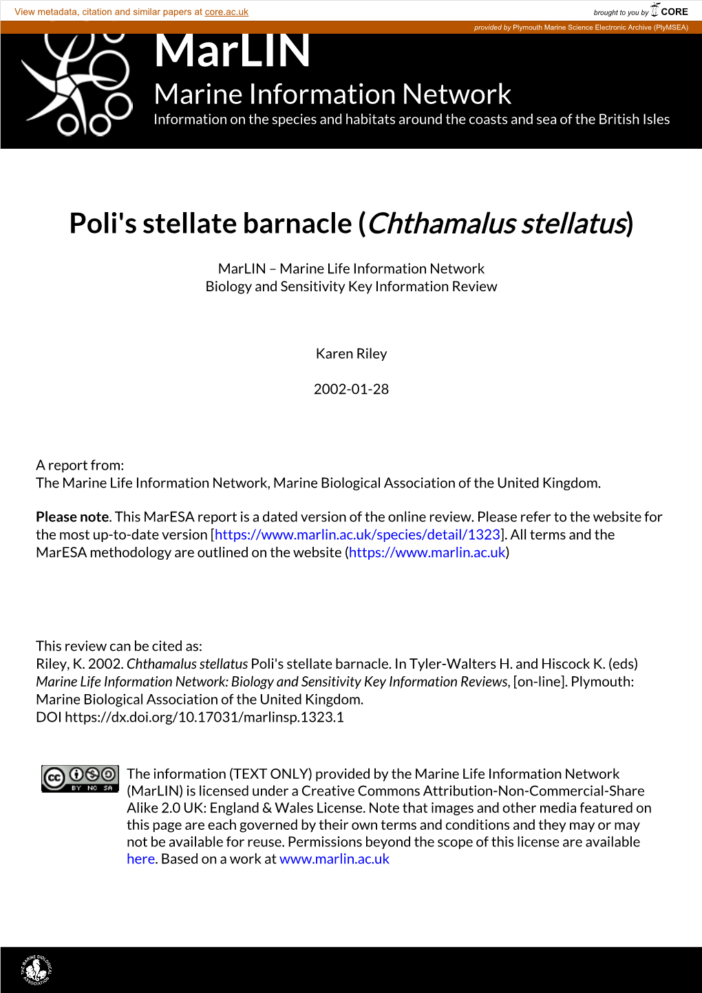 Poli's Stellate Barnacle (Chthamalus Stellatus)