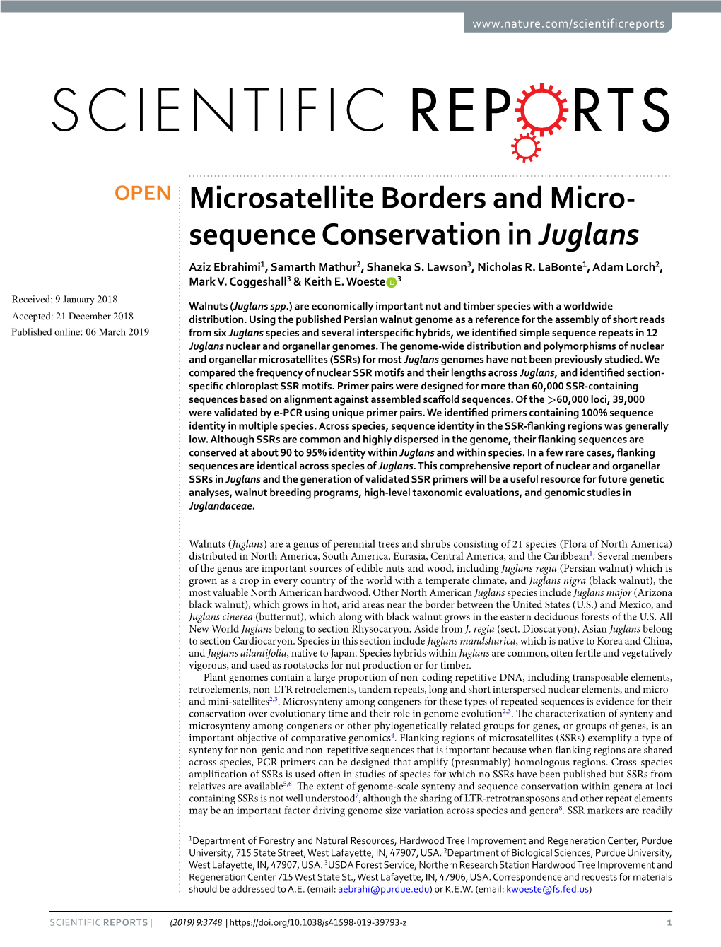 Microsatellite Borders and Micro-Sequence Conservation In