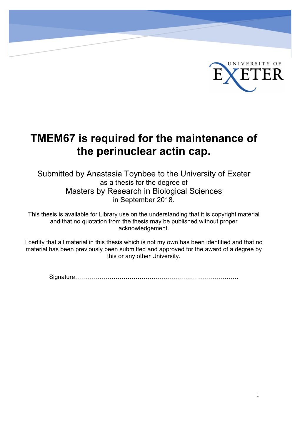 TMEM67 Is Required for the Maintenance of the Perinuclear Actin Cap