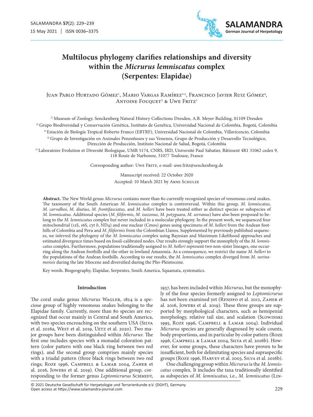 Multilocus Phylogeny Clarifies Relationships and Diversity Within the Micrurus Lemniscatus Complex (Serpentes: Elapidae)