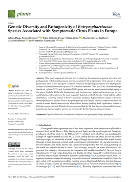 Genetic Diversity and Pathogenicity of Botryosphaeriaceae Species Associated with Symptomatic Citrus Plants in Europe