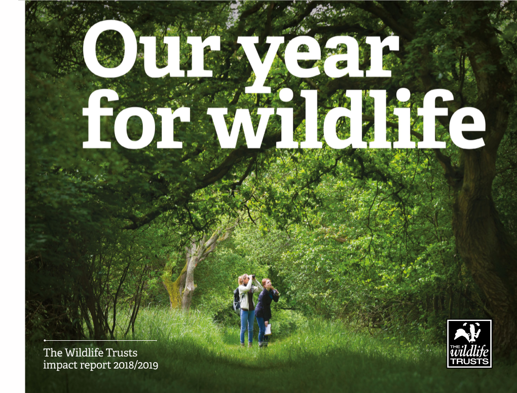 The Wildlife Trusts Impact Report 2018/2019