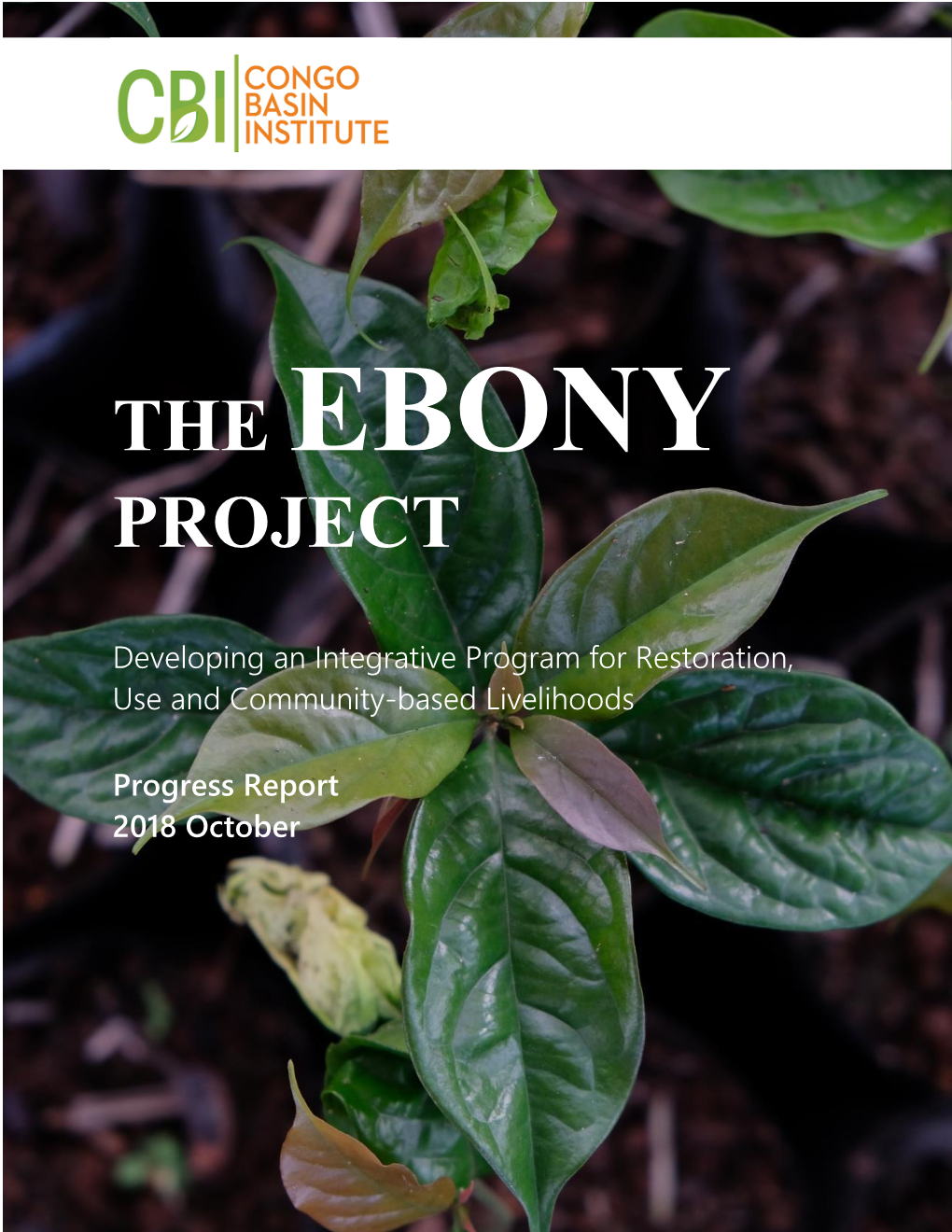 The Ebony Project Is Coordinated by the Congo Basin Institute (CBI) in Yaoundé, Cameroon, and the Work Is Implemented by CBI and the Following Project Partners