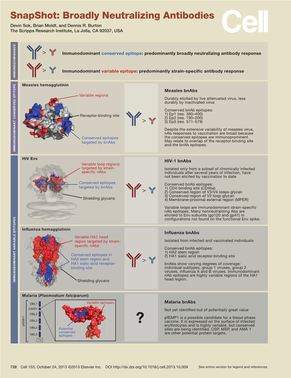 Snapshot: Broadly Neutralizing Antibodies Devin Sok, Brian Moldt, and Dennis R