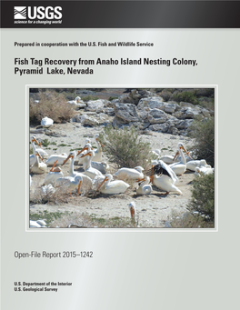 Fish Tag Recovery from Anaho Island Nesting Colony, Pyramid Lake, Nevada