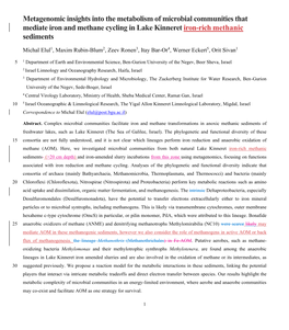 Metagenomic Insights Into the Metabolism of Microbial Communities That Mediate Iron and Methane Cycling in Lake Kinneret Iron-Rich Methanic Sediments