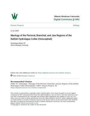 Myology of the Pectoral, Branchial, and Jaw Regions of the Ratfish Hydrolagus Colliei (Holocephali)