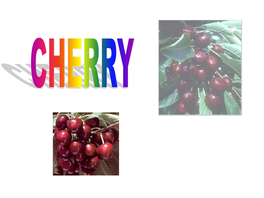 Sweet Cherry- Table Purpose • Sour Cherry – Processing