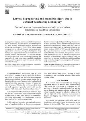 Larynx, Hypopharynx and Mandible Injury Due to External Penetrating Neck Injury