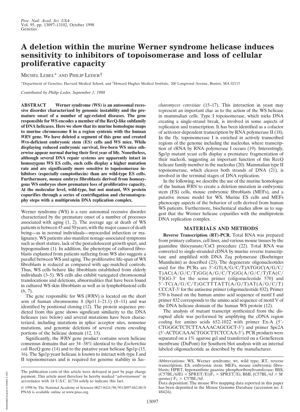 A Deletion Within the Murine Werner Syndrome Helicase Induces Sensitivity to Inhibitors of Topoisomerase and Loss of Cellular Proliferative Capacity