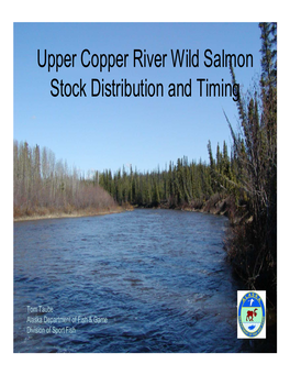 Upper Copper River Wild Salmon Stock Distribution and Timing