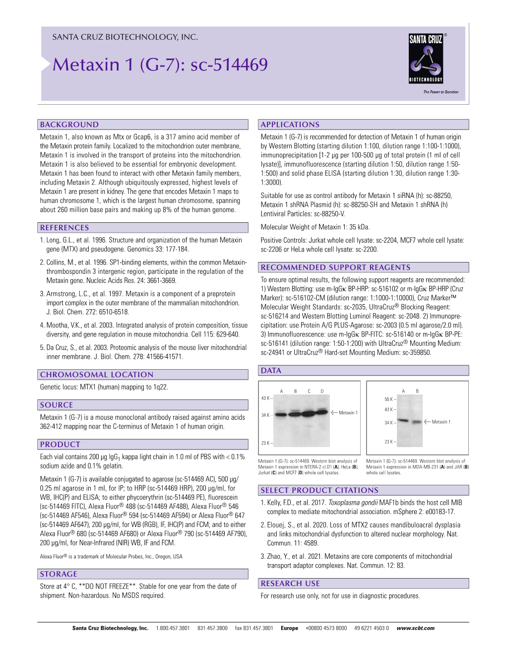 Metaxin 1 (G-7): Sc-514469