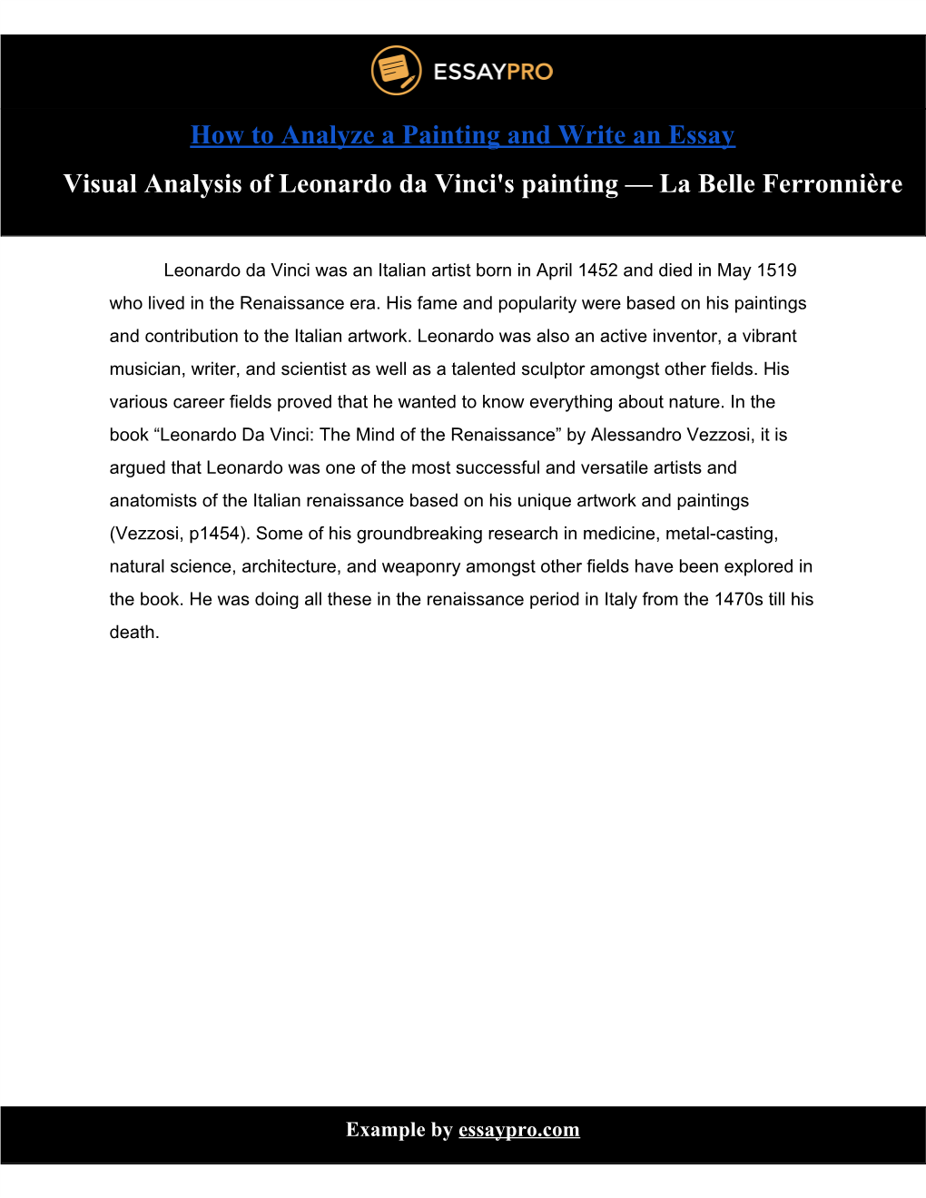 Visual Analysis of Leonardo Da Vinci's Painting — La Belle Ferronnière