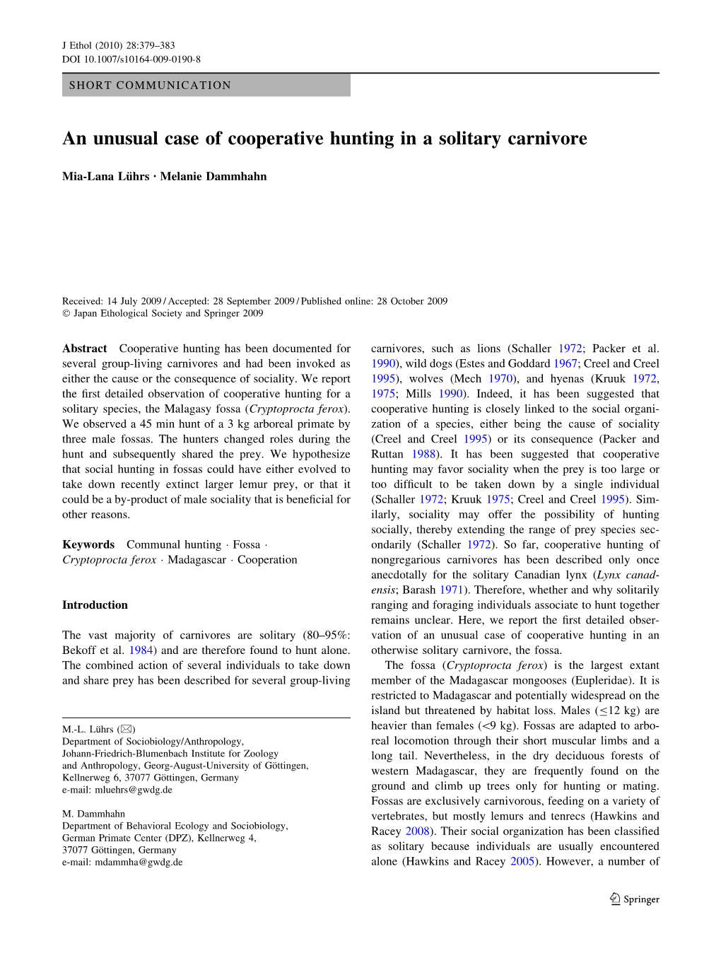 An Unusual Case of Cooperative Hunting in a Solitary Carnivore