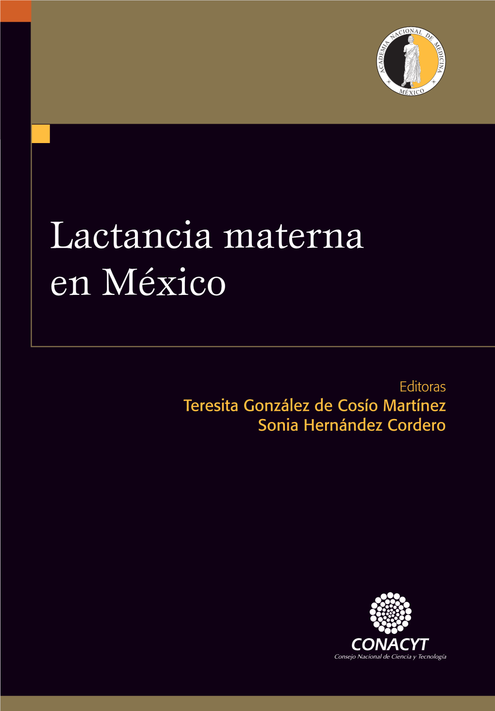 Lactancia Materna En México