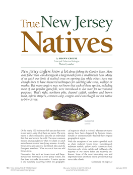 New Jersey Anglers Know a Lot About Fishing the Garden State. Most Avid Fishermen Can Distinguish a Largemouth from a Smallmouth Bass