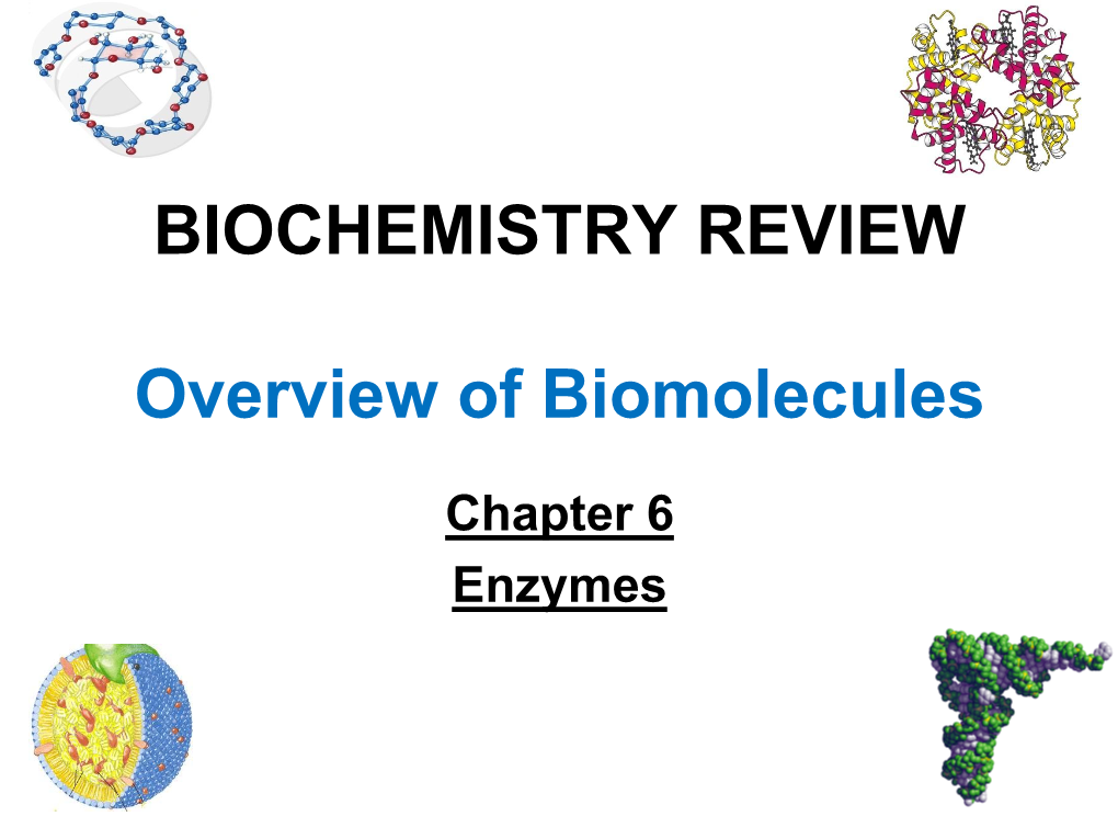 BIOCHEMISTRY REVIEW Overview of Biomolecules