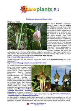 The Genus Arisaema (Cobra Lilies)