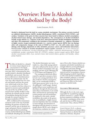 How Is Alcohol Metabolized by the Body?