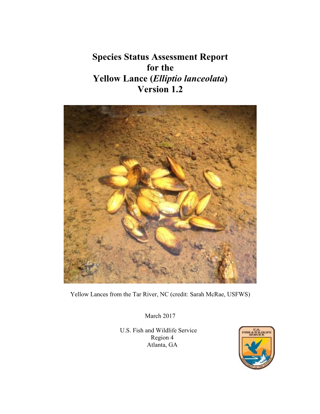 Species Status Assessment Report for the Yellow Lance (Elliptio Lanceolata) Version 1.2