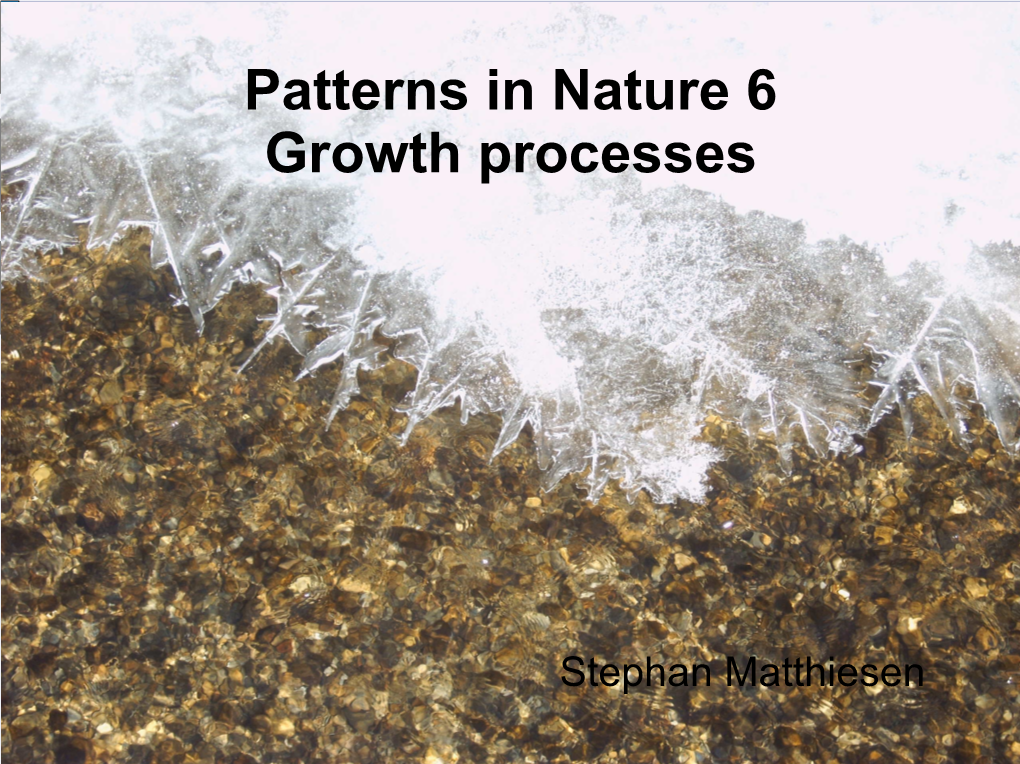 Patterns in Nature 6 Growth Processes