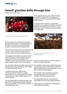 'Island' Grevillea Drifts Through Time 18 May 2015, by Rob Payne