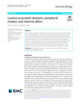 Lamina-Associated Domains: Peripheral Matters and Internal Affairs Nolwenn Briand1,2 and Philippe Collas1,2*