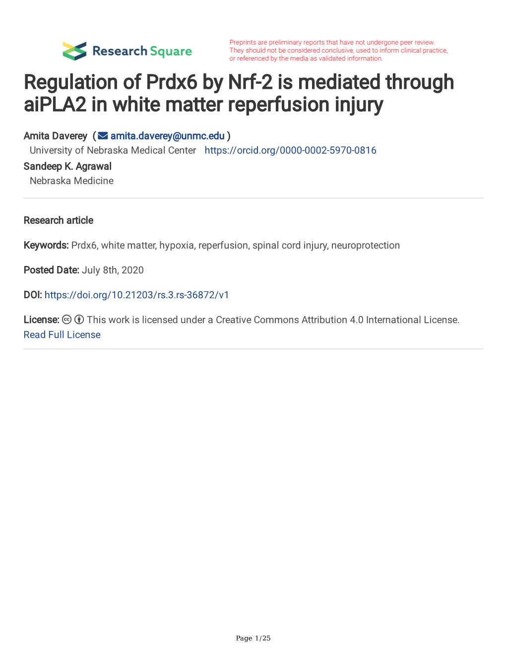 Regulation of Prdx6 by Nrf-2 Is Mediated Through Aipla2 in White Matter Reperfusion Injury