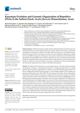 Karyotype Evolution and Genomic Organization of Repetitive Dnas in the Saffron Finch, Sicalis Flaveola (Passeriformes, Aves)