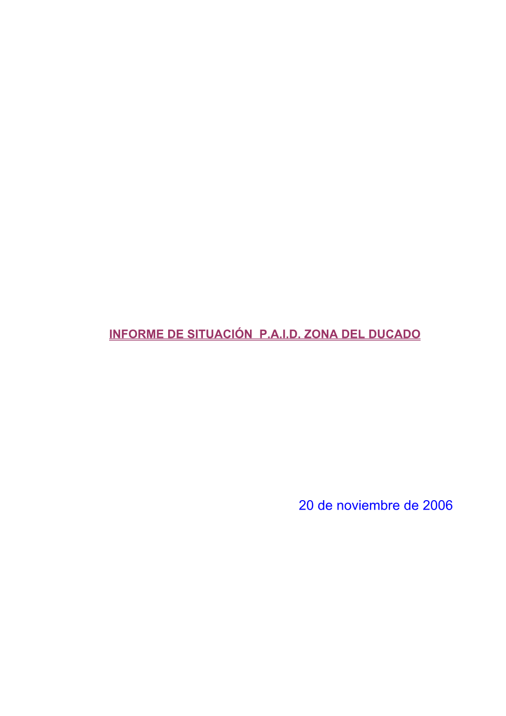 Informe De Gestión Del 20 Noviembre 2006