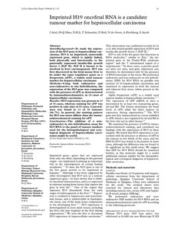 Imprinted H19 Oncofetal RNA Is a Candidate Tumour Marker for Hepatocellular Carcinoma