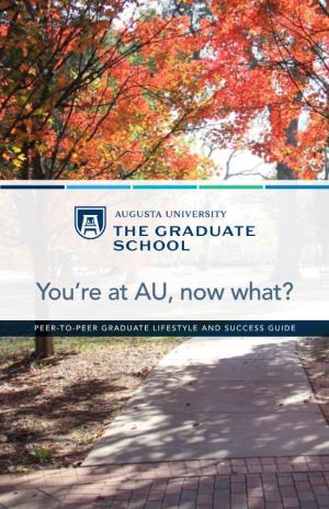 You're at AU, Now What?