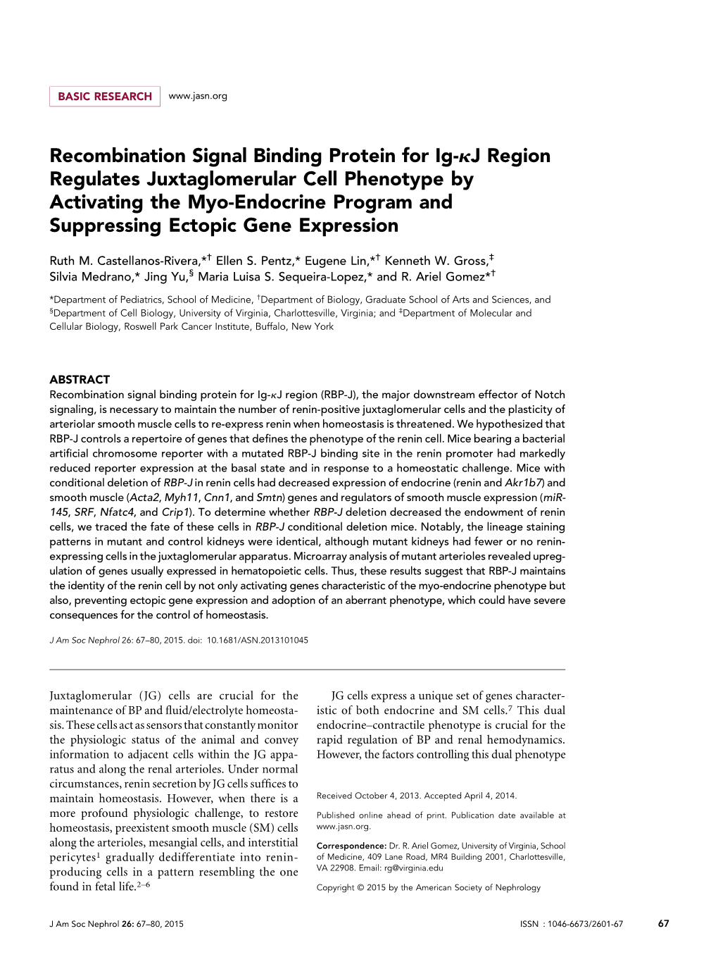 Recombination Signal Binding Protein for Ig-Kj Region Regulates Juxtaglomerular Cell Phenotype by Activating the Myo-Endocrine P