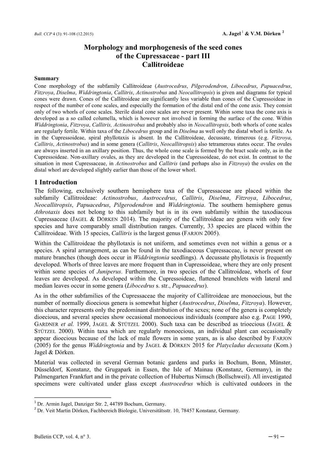 Morphology and Morphogenesis of the Seed Cones of the Cupressaceae - Part III Callitroideae